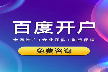 SEM广告投放策略案例分析