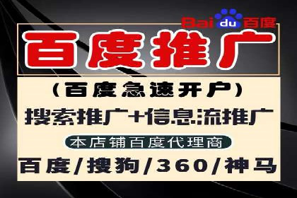 竞价SEM策略在金融行业的成功实践